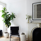 Short-Term Rentals